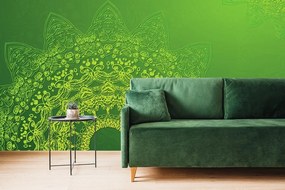 Samolepiaca tapeta moderné prvky Mandaly v zelenej - 375x250