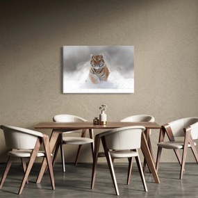 Obraz bežiaceho tigra v snehu (90x60 cm)