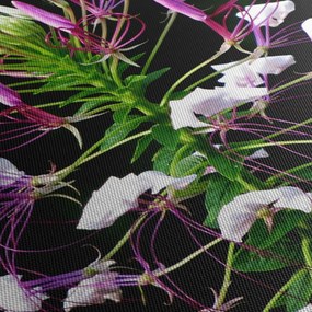 Obraz kvetu (90x60 cm)