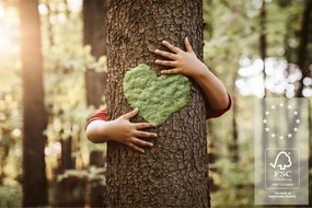 Predsieňová skriňa so zrkadlom Salsa, šedý dub/biely lesk