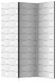Paraván - Abstract Screen [Room Dividers] Veľkosť: 135x172, Verzia: Obojstranný