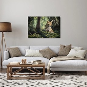 Obraz líšky (90x60 cm)