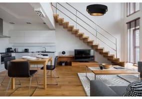 Luster na lanku TRINITI 1xE27/60W/230V čierna/zlatá