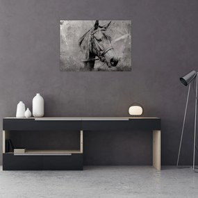 Obraz - Portrét koňa (70x50 cm)