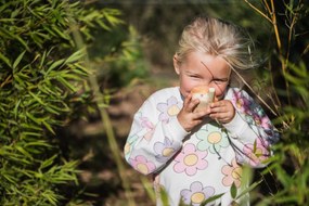 Detské vysielačky Zoo Walkie Talkie - líška - jednorožec