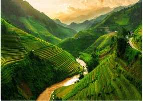 Obraz - Ryžové terasy Mu Cang Chai (70x50 cm)