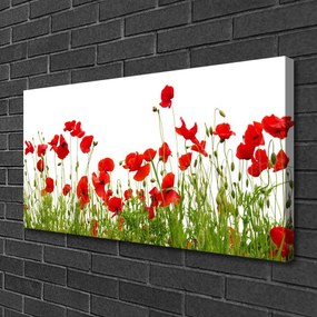 Obraz Canvas Lúka maky kvety príroda 140x70 cm