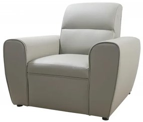 Kožené kreslo TOKIO, sivá (u-24)