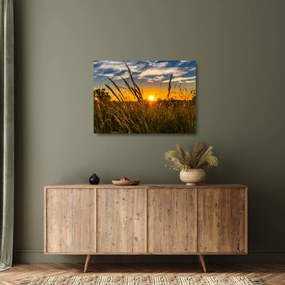 Sklenený obraz pole pri západe slnka (70x50 cm)
