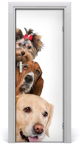 Samolepiace fototapety na dvere Psy a mačky 95x205 cm