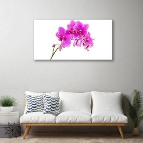 Obraz Canvas Vstavač kvet orchidea 120x60 cm