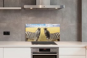 Nástenný panel  zebra box 100x50 cm