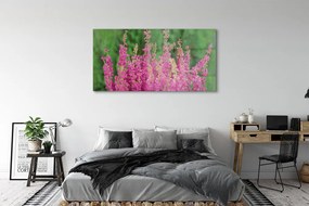 Obraz plexi Kvety vresy 140x70 cm