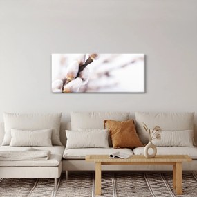 Obraz - Vetva mačičky (120x50 cm)