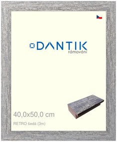 DANTIK rám na obraz 40x50 | RETRO šedá (Sklo Čiré)