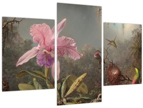 Obraz - Martin Johnson Heade, Cattleya Orchid and Three Hummingbirds, reprodukcia (90x60 cm)