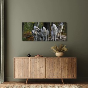 Obraz - Vlci na skale (120x50 cm)