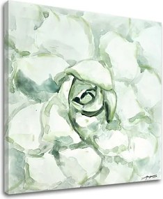 Obraz na plátne KVET