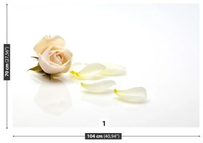 Fototapeta Vliesová Ružová ruža 312x219 cm