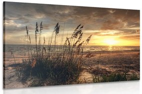 Obraz západ slnka na pláži - 120x80