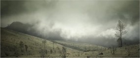 Obraz krajiny pred búrku (120x50 cm)