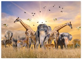 Obraz - Africké zvieratá (70x50 cm)
