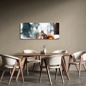 Obraz - Veverička (120x50 cm)
