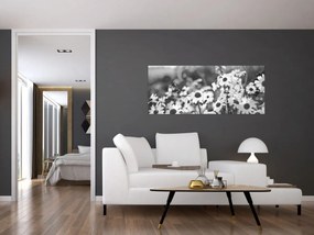 Obraz - Kopretiny (120x50 cm)