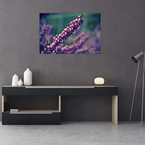 Obraz levandule (90x60 cm)