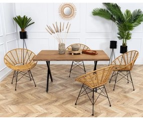 Stojan na kvety TRIPOD 110x25 cm čierna