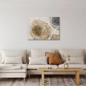 Obraz - Abstrakcia kmeňov (70x50 cm)