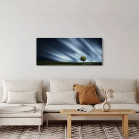 Obraz polárna žiara nad vresoviskom (120x50 cm)