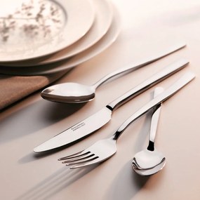 Nerezový príbor v striebornej farbe 24 ks Victoria – Tescoma