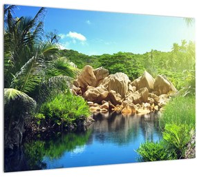 Obraz jazera v Seychelskej džungli (70x50 cm)
