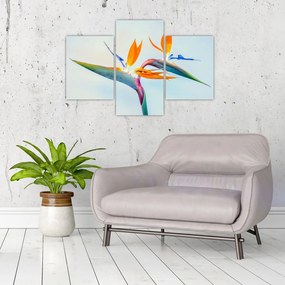 Obraz kvetu Strelícia (90x60 cm)