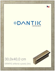 DANTIK rám na obraz 30x40 | GRAFIC stříbrná vysoká (Plexi Čiré)