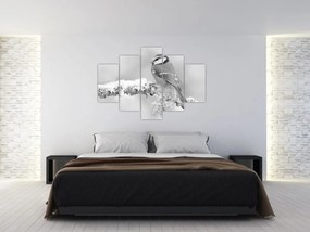 Obraz - Vtáčik na vetve (150x105 cm)