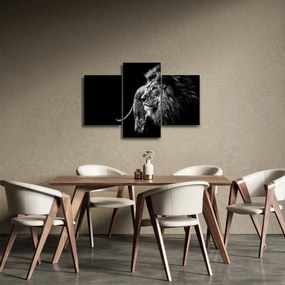 Obraz - Lev (90x60 cm)