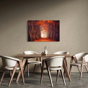 Obraz - Jesenné les (90x60 cm)