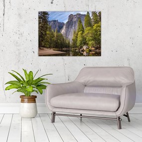 Sklenený obraz - Pod Yosemite skalou (70x50 cm)