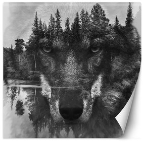 Gario Fototapeta Vlk odrážajúci sa na hladine jazera Materiál: Vliesová, Rozmery: 100 x 100 cm