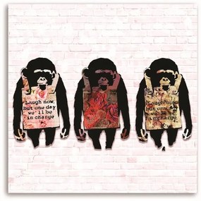 Obraz na plátně Banksyho barevný s opicí - 50x50 cm