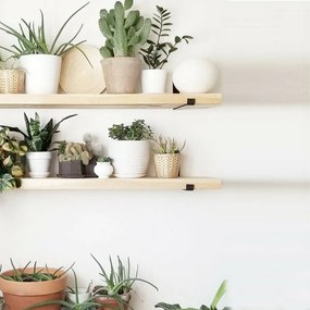 Polička Lam008 Black and Oak