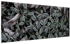 Obraz - Zamrznuté rastliny (120x50 cm)