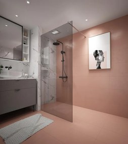 Erga Paris, sprchová zástena Walk-In 100x200 cm, 8mm šedé sklo, chrómový profil, ERG-V02-PARIS-100x200-GR-CR