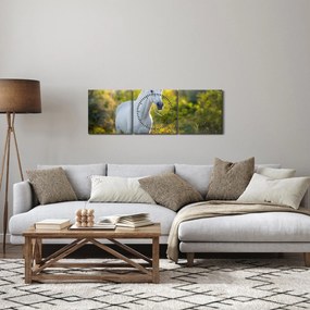 Obraz bieleho koňa na lúke (s hodinami) (90x30 cm)