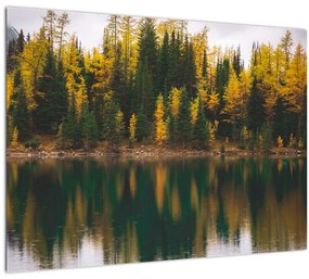 Obraz lesného jazera (70x50 cm)