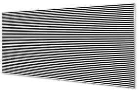 Sklenený obraz zebra pruhy 125x50 cm