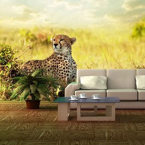 Sablio Tapeta Gepard - 336x220 cm