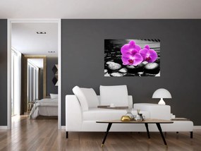 Obraz - Fialové orchidey (90x60 cm)